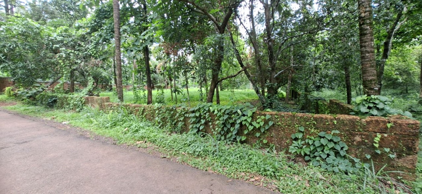 View across the level land at the Chalode plot