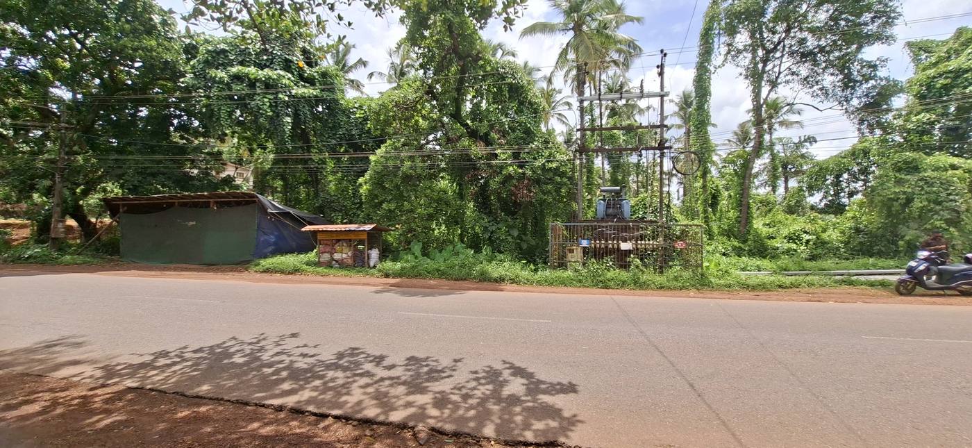 81 cent flat plot with 51 m highway frontage at Kumbham on the Kannur–Mattannur highway