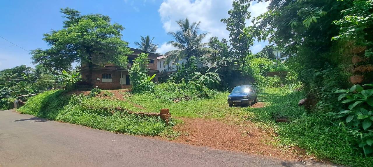 23 cent house plot with tar road frontage at Mayyalapeedika, Elayavoor