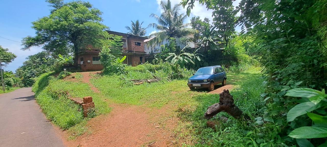 Roadside view of the Mayyalapeedika plot