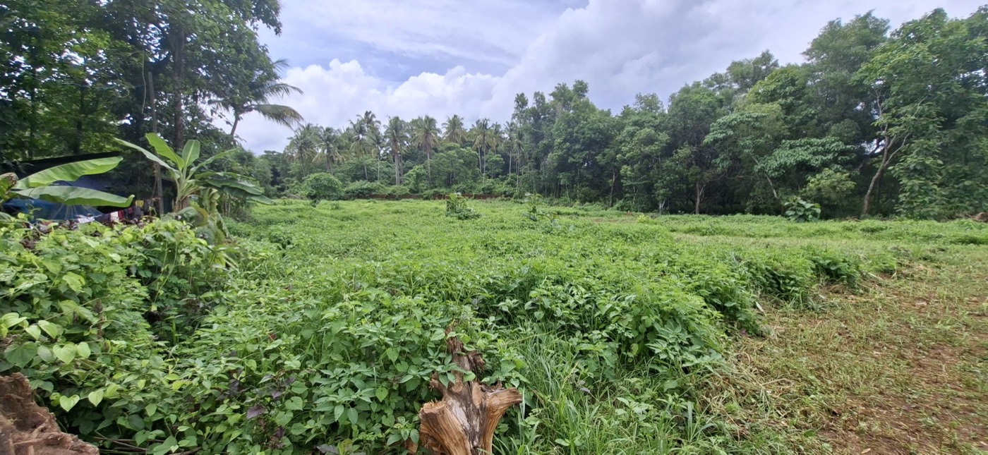 65 cent plot at Moolakkari, Koodali, Kannur
