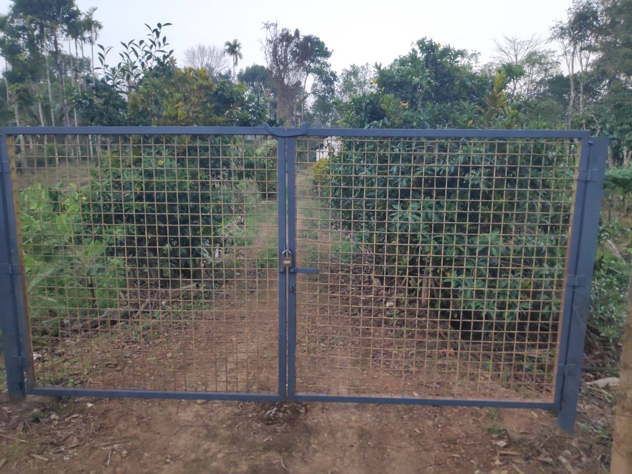 Fully fenced gated entrance to the estate